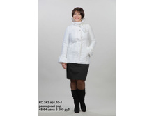 �� 242���10-1.jpg