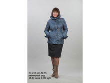 �� 242���82-15.jpg