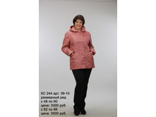 �� 244 ��� 39-10.jpg