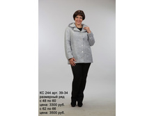 �� 244 ��� 39-34.jpg