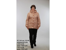 �� 244 ��� 82-66.jpg