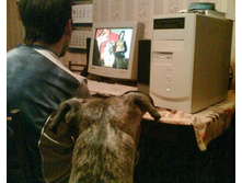 ����� �� ����, ������!