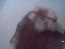 ������ 2010(����)