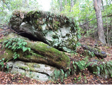 ������� 2010 102.jpg