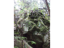 ������� 2010 129.jpg