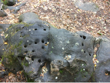 ������� 2010 149.jpg