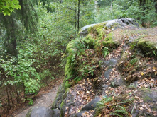 ������� 2010 141.jpg