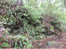 ������� 2010 103.jpg