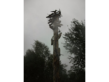 ������� 2010 220.jpg