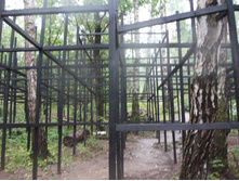 ������� 2010 224.jpg