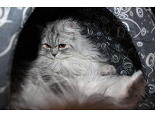 ����������� 105.jpg