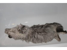 ����������� 028.jpg