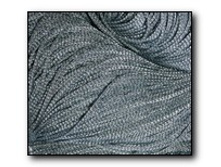 ������� ���������