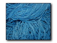 ������� ���������