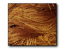 ������� ���������