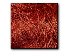 ������� ���������