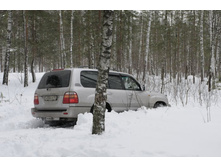 _MG_4878_����� ������.JPG