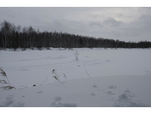 _MG_4923_����� ������.JPG