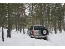 _MG_5002_����� ������.JPG