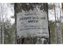 _MG_5016_����� ������.JPG