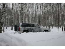 _MG_5078_����� ������.JPG