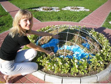 � ������ ���� ����