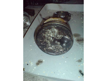 dsc00007 [800x600].jpg