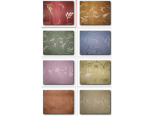 �������� ��������� ���������-�����