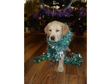 ��������� �� ���))) ���������