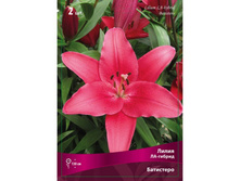 ����� ��������� 70,0