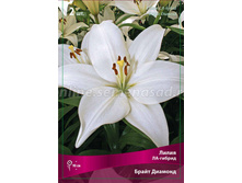 ����� ����� ������� 70,0