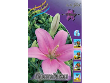 ����� �������� 70,0