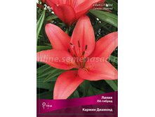 ����� ������ ������� 72,0