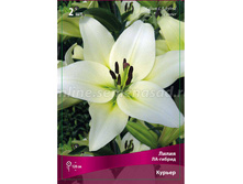 ����� ������ 70,0