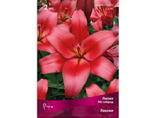 ����� ������  72,0