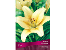 ����� ���������� 72,0