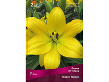 ����� ������ ������ 70,0