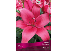 ����� ���� �� 72,0