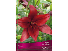 ����� ��� ����� 72,0