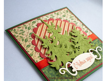 �������� � ��� �ģ� 345 ���.