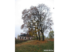 �������.���������.