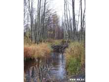 ����� ����� �����