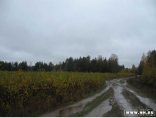 ������...