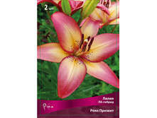 ����� ���� ������� 74,0