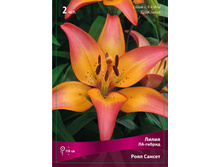 ����� ���� ������ 74,0