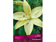 ����� ���� ������� 74,0