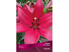 ����� ������� 72,0