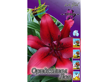 ����� ��������� ��� 72,0