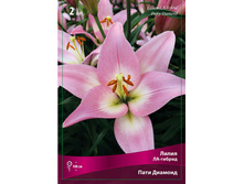 ����� ���� �������  70,0