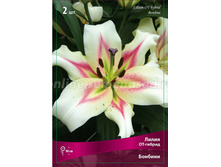 ����� ������� 86,0